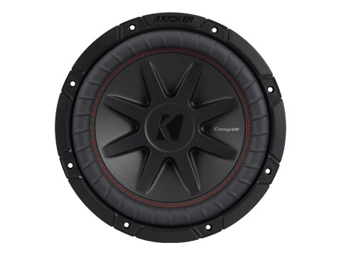 10 inch 2 ohm dual voice coil