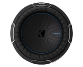 10 inch 2 ohm dual voice coil