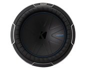 12 inch 2 ohm dual voice coil